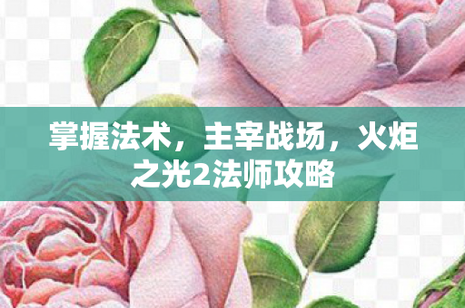 火炬之光2法师攻略图片