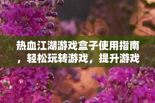 热血江湖游戏盒子使用指南图片