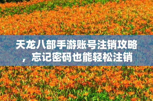 天龙八部手游账号注销攻略图片