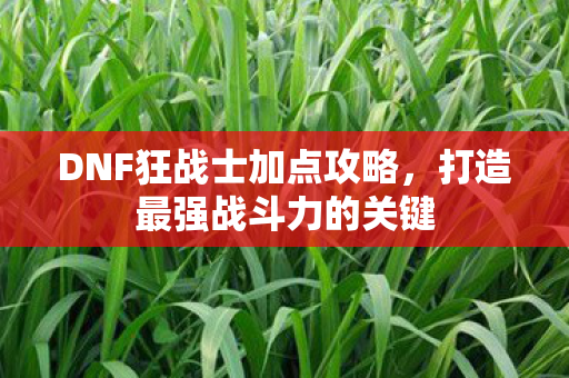 DNF狂战士加点攻略图片