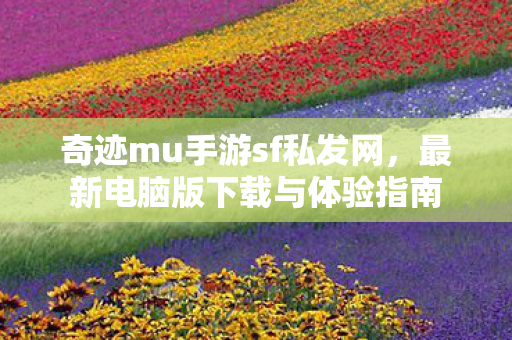 最新电脑版下载与体验指南图片