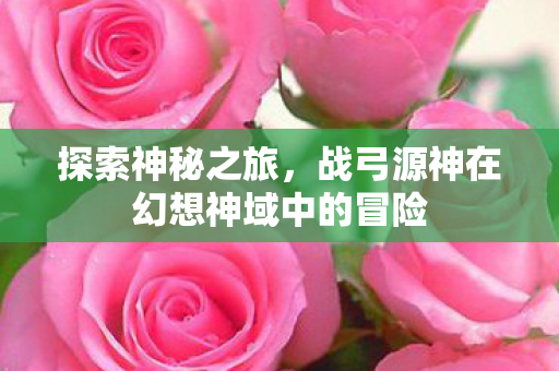 战弓源神在幻想神域中的冒险图片