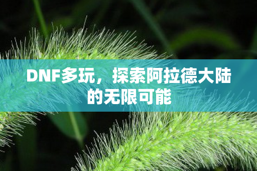 探索阿拉德大陆的无限可能图片