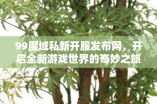 开启全新游戏世界的奇妙之旅图片