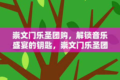 崇文门乐圣团购,解锁音乐盛宴的钥匙,崇文门乐圣团购,解锁音乐盛宴的钥匙 崇文门乐圣团购,解锁音乐盛宴的钥匙,崇文门乐圣团购,解锁音乐盛宴的钥匙