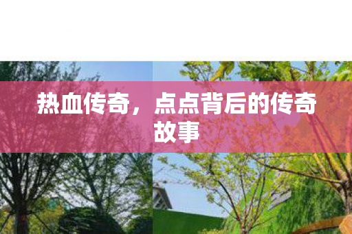 点点背后的传奇故事图片
