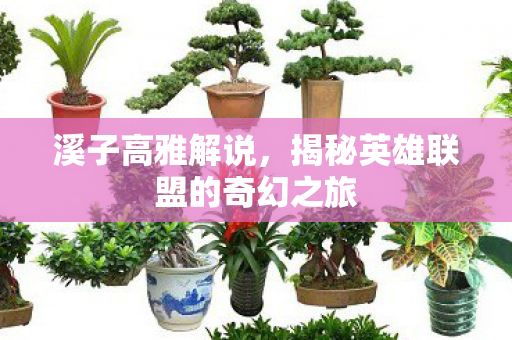 揭秘英雄联盟的奇幻之旅图片