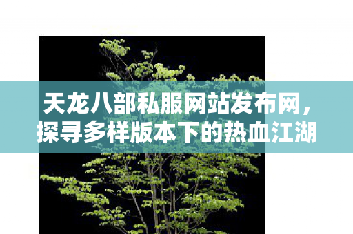 天龙八部私服网站发布网,探寻多样版本下的热血江湖与避坑指南 天龙八部私服网站发布网,探寻多样版本下的热血江湖与避坑指南