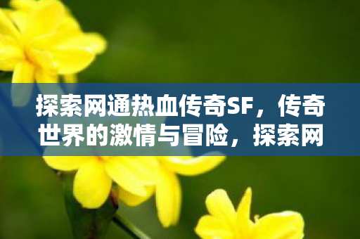 探索网通热血传奇SF，传奇世界的激情与冒险，探索网通热血传奇SF，传奇世界的激情与冒险之旅