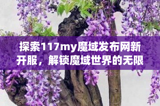 探索117my魔域发布网新开服图片