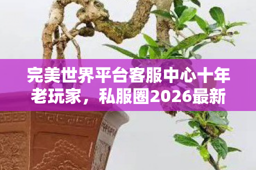 完美世界平台客服中心十年老玩家,私服圈2026最新动态全解析 完美世界平台客服中心十年老玩家,私服圈2026最新动态全解析