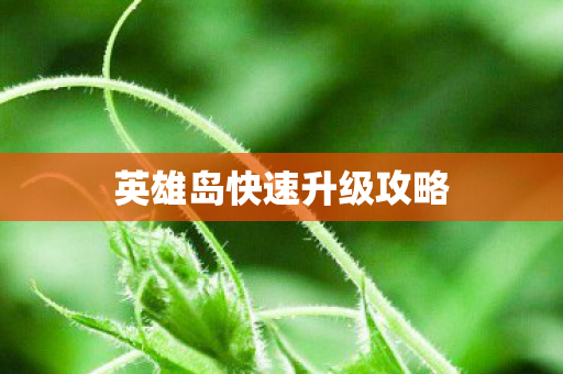 英雄岛快速升级攻略图片