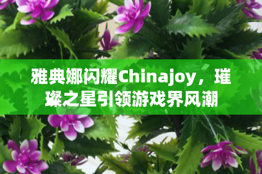 雅典娜闪耀Chinajoy图片