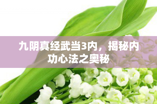 揭秘内功心法之奥秘图片