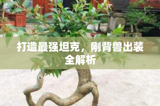 刚背兽出装全解析图片