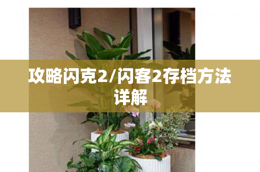 闪客2存档方法详解图片