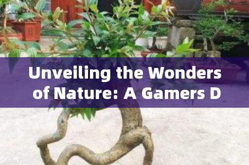 Unveiling the Wonders of Nature: A Gamers Delight