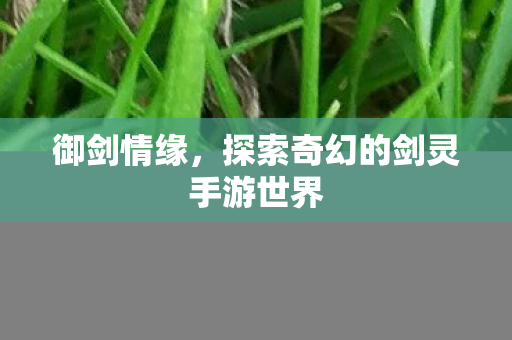 御剑情缘,探索奇幻的剑灵手游世界 御剑情缘,探索奇幻的剑灵手游世界