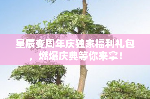 星辰变周年庆独家福利礼包图片