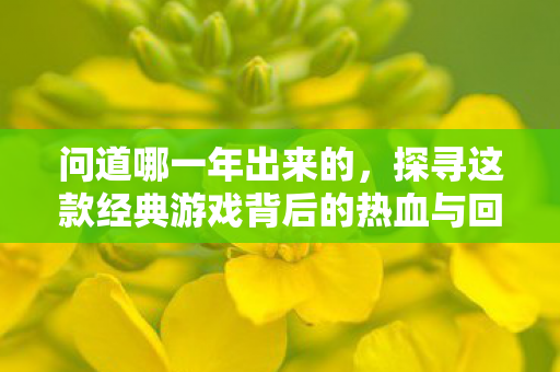 问道哪一年出来的，探寻这款经典游戏背后的热血与回忆