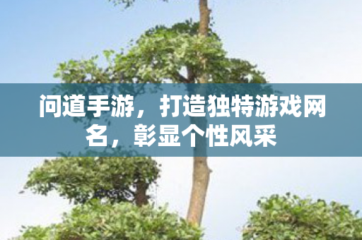 打造独特游戏网名图片
