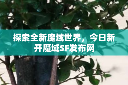 今日新开魔域SF发布网图片