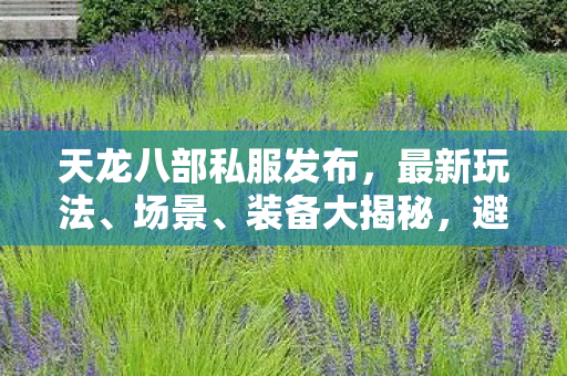 天龙八部私服发布，最新玩法、场景、装备大揭秘，避坑指南与疑问解答