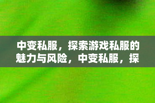 探索游戏私服的魅力与风险并存图片