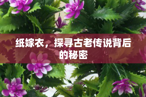 探寻古老传说背后的秘密图片