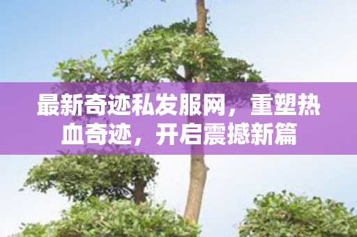 最新奇迹私发服网,重塑热血奇迹,开启震撼新篇 最新奇迹私发服网,重塑热血奇迹,开启震撼新篇