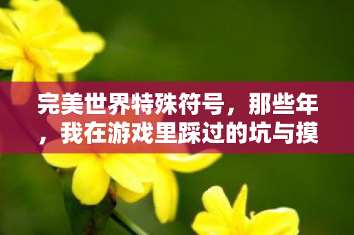 完美世界特殊符号,那些年,我在游戏里踩过的坑与摸出的野路子 完美世界特殊符号,那些年,我在游戏里踩过的坑与摸出的野路子
