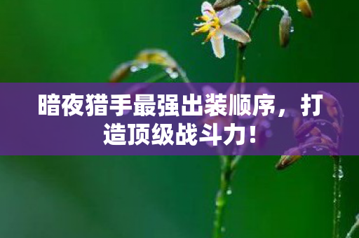 暗夜猎手最强出装顺序图片