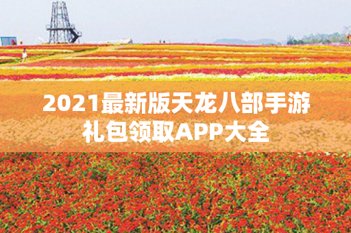 2021最新版天龙八部手游礼包领取APP大全图片