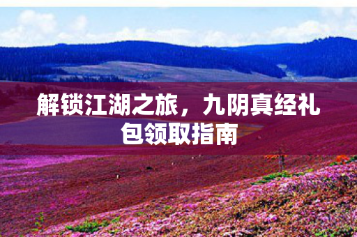 九阴真经礼包领取指南图片