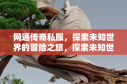 探索未知世界的冒险之旅图片