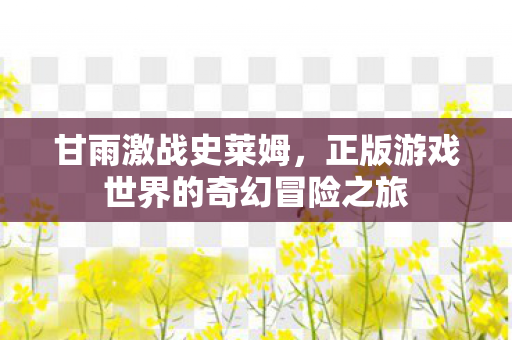 正版游戏世界的奇幻冒险之旅图片