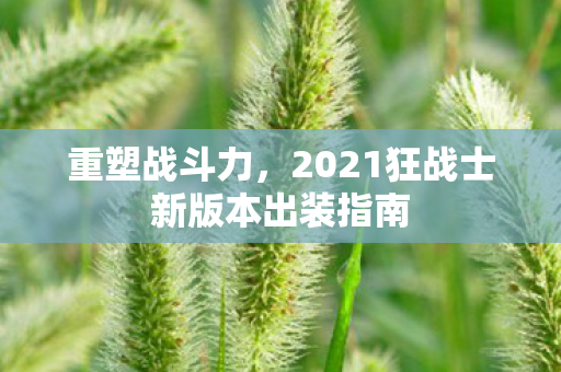 2021狂战士新版本出装指南图片