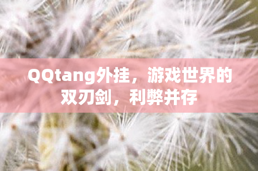 QQtang外挂图片