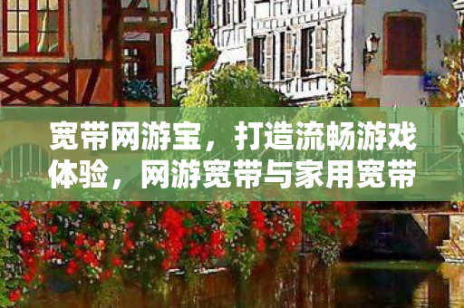 网游宽带与家用宽带大不同图片