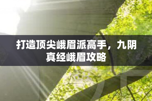 打造顶尖峨眉派高手图片