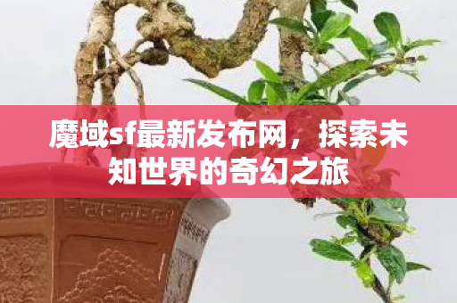 探索未知世界的奇幻之旅图片