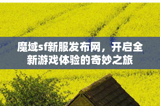 开启全新游戏体验的奇妙之旅图片