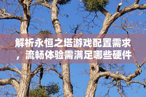流畅体验需满足哪些硬件条件图片
