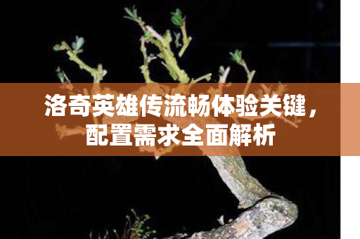 洛奇英雄传流畅体验关键图片