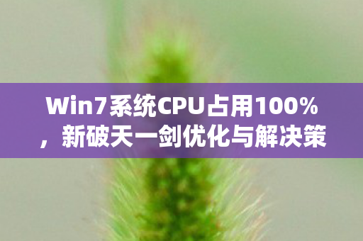 Win7系统CPU占用100图片