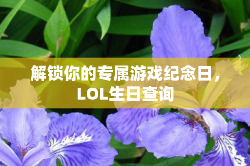 解锁你的专属游戏纪念日图片