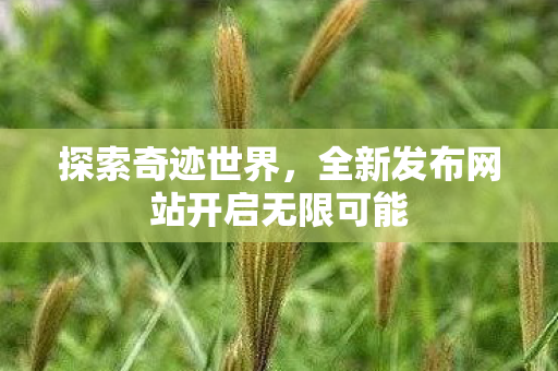 全新发布网站开启无限可能图片