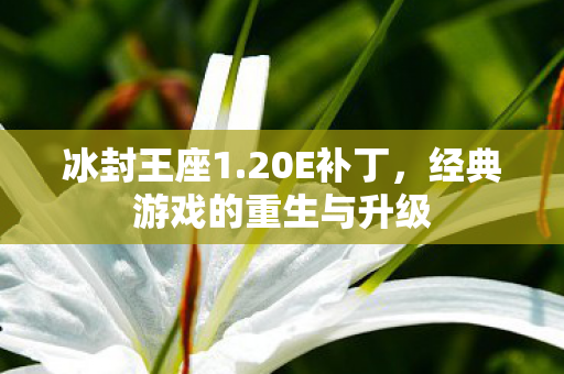 经典游戏的重生与升级图片