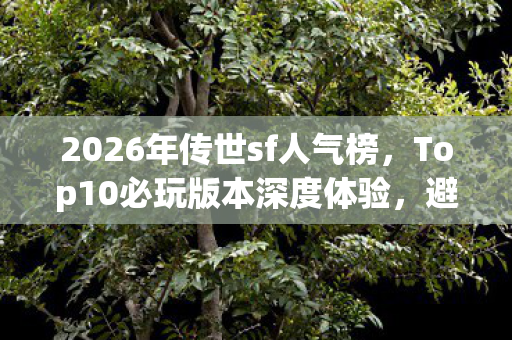 2026年传世sf人气榜，Top10必玩版本深度体验，避开90%入坑雷区