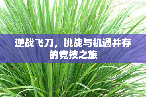 挑战与机遇并存的竞技之旅图片
